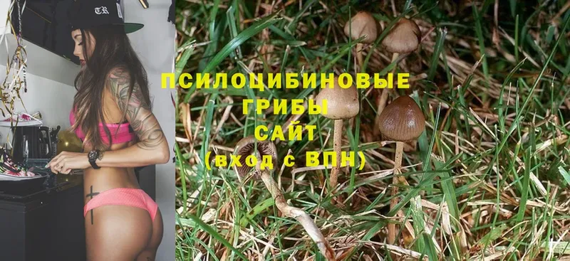 Псилоцибиновые грибы MAGIC MUSHROOMS  ссылка на мегу как зайти  Кущёвская 